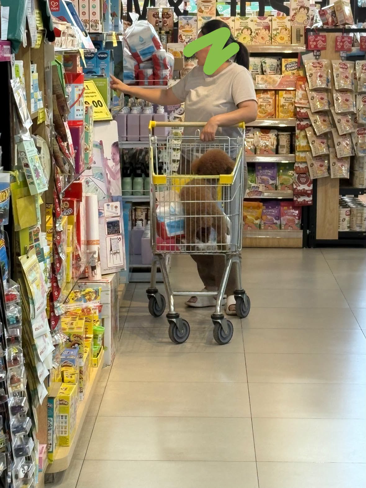 China woman puts dog inside trolley