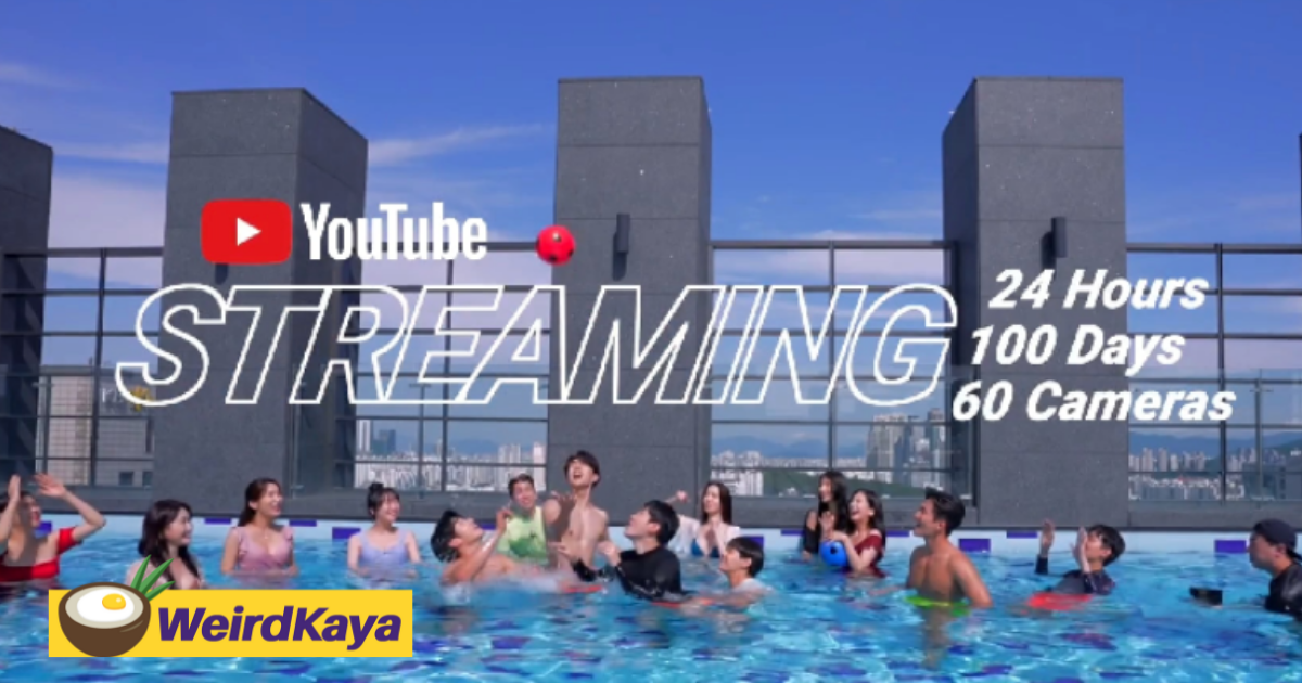 Korean reality tv 'godiva show' to livestream the lives of 14 men and women in an isolated house with 60 cameras! | weirdkaya