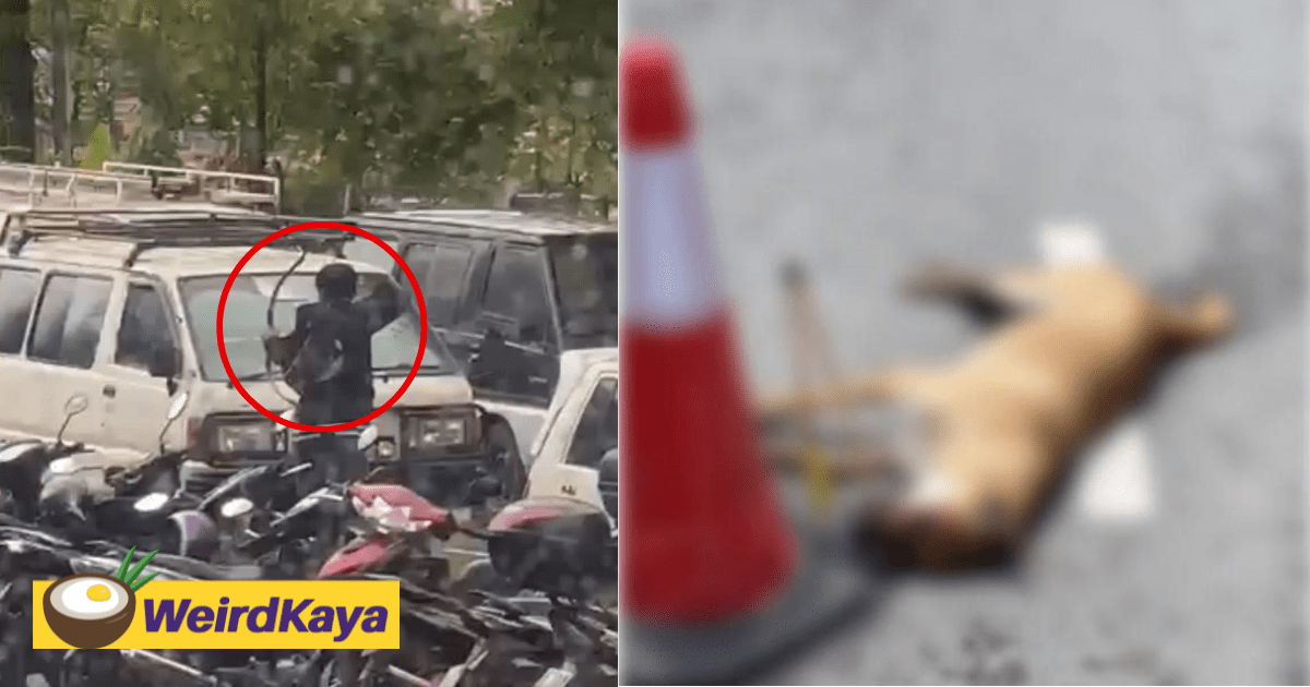 Disturbing Video Shows M'sian Man Killing Stray Dog With Bow And Arrow