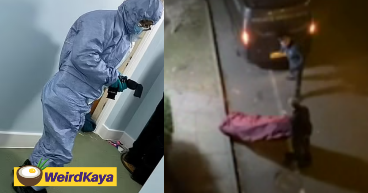 Woman’s skeletal remains found in living room after 1095 days | weirdkaya