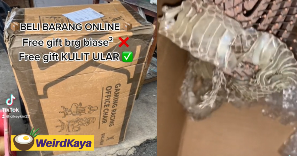 [video] woman finds “free gift” in the form of snake skin inside delivery parcel | weirdkaya