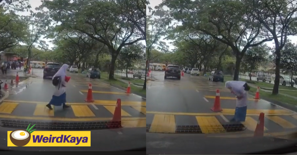 [video] schoolgirl bows to driver after he lets her cross the road, wins praise online | weirdkaya