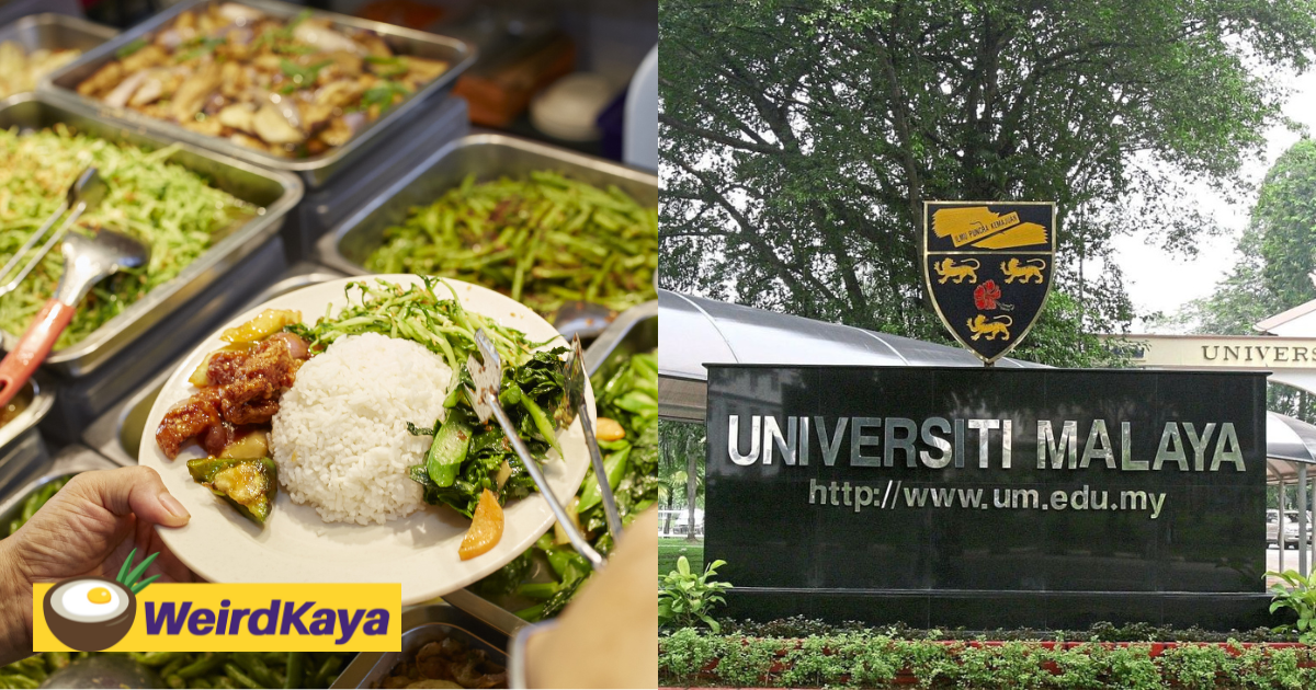 Um students to enjoy economy rice set meals from rm3. 50 starting today | weirdkaya