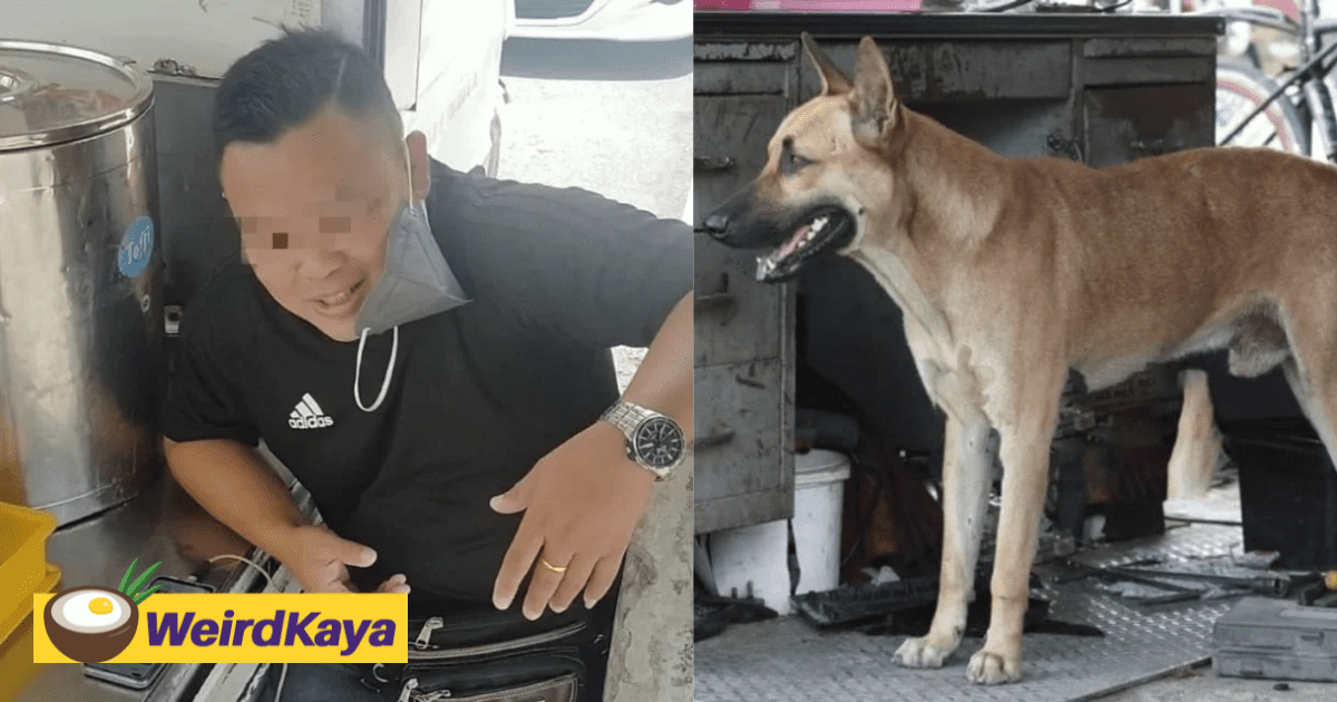 Remember This Guy Who Claimed To Eat A Puppy? Turns Out It Was Just A Joke