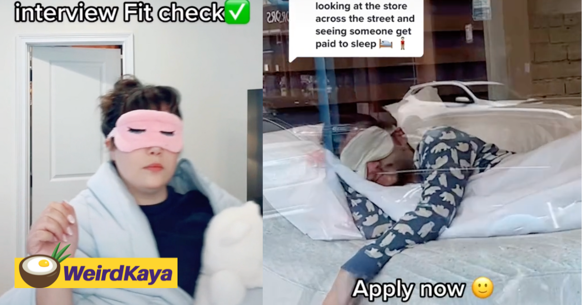 This mattress company is looking for people to sleep on the job & we're dying to be hired already | weirdkaya