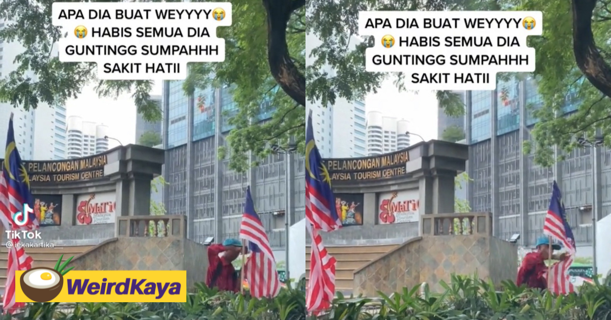 [video] man vandalises a row of jalur gemilangs & netizens are deeply upset | weirdkaya