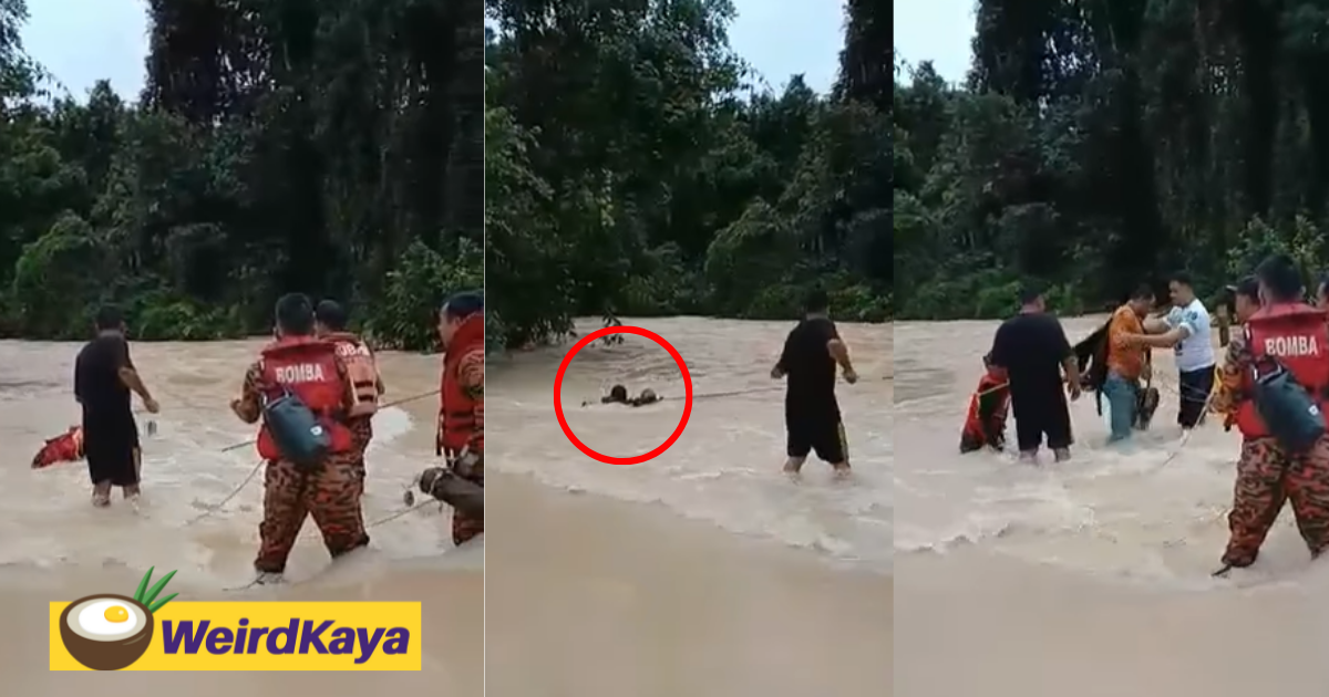 [video] man nearly swept away by floodwaters while trying to wade through it | weirdkaya