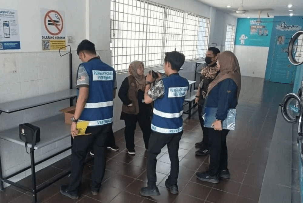 Man jailed for throwing kitten (1)