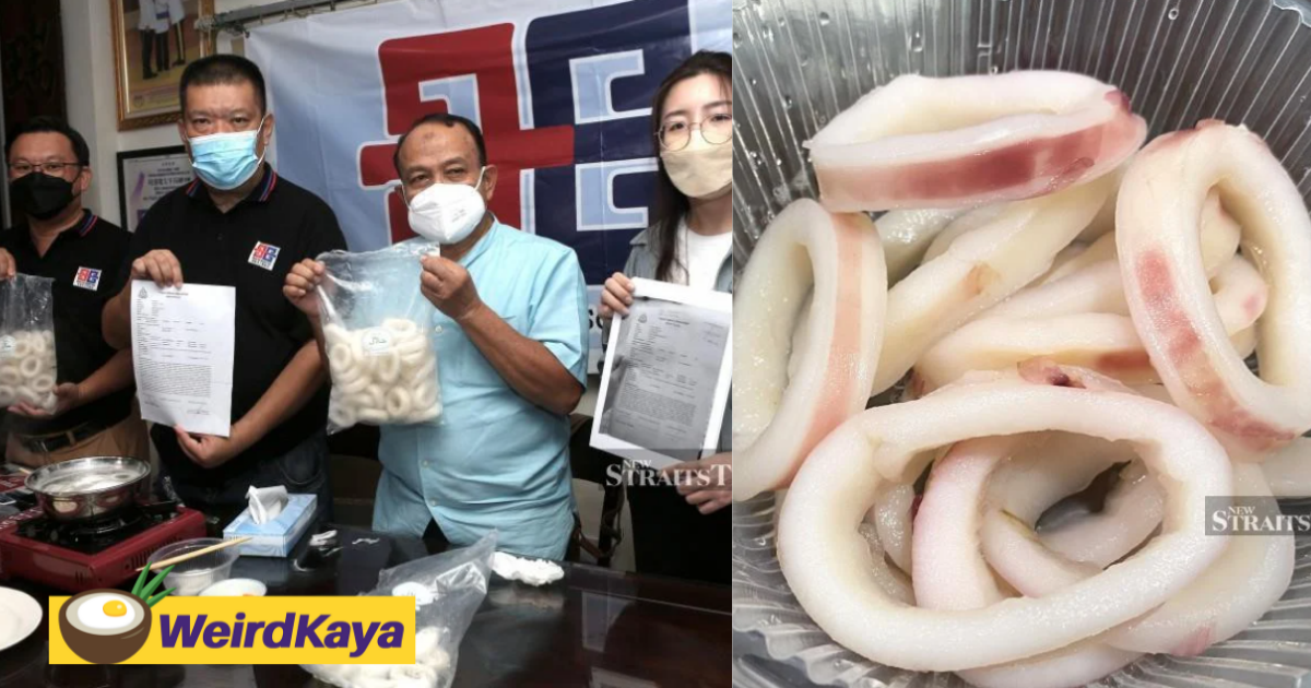 Manufacturer to sue netizens for spreading fake news about its squid rings | weirdkaya
