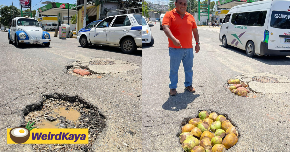 Mexican politician fills potholes with coconut husks to protest government inaction | weirdkaya