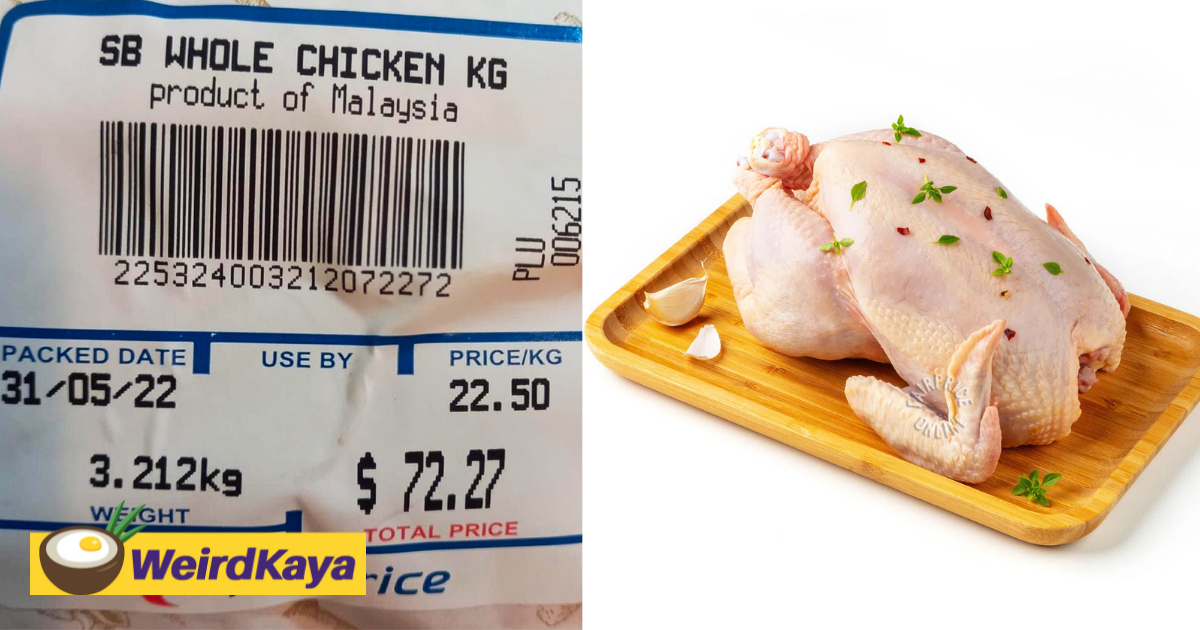 M'sian kampung chicken is now being sold for rm72 per kg in sg | weirdkaya