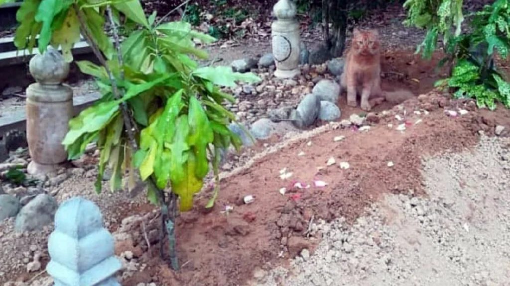 Nana visits grave