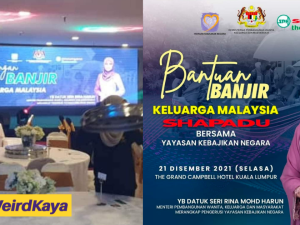 Rina Harun allegedly held a dinner party to help flood victims and M'sians aren't impressed