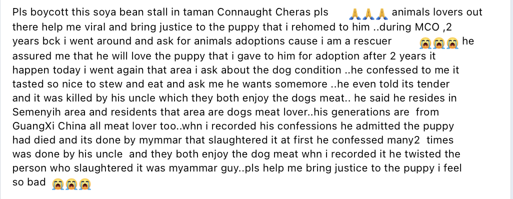 Chinese man in m'sia admits to eating dog he adopted from rescuer, claims its meat was delicious | weirdkaya
