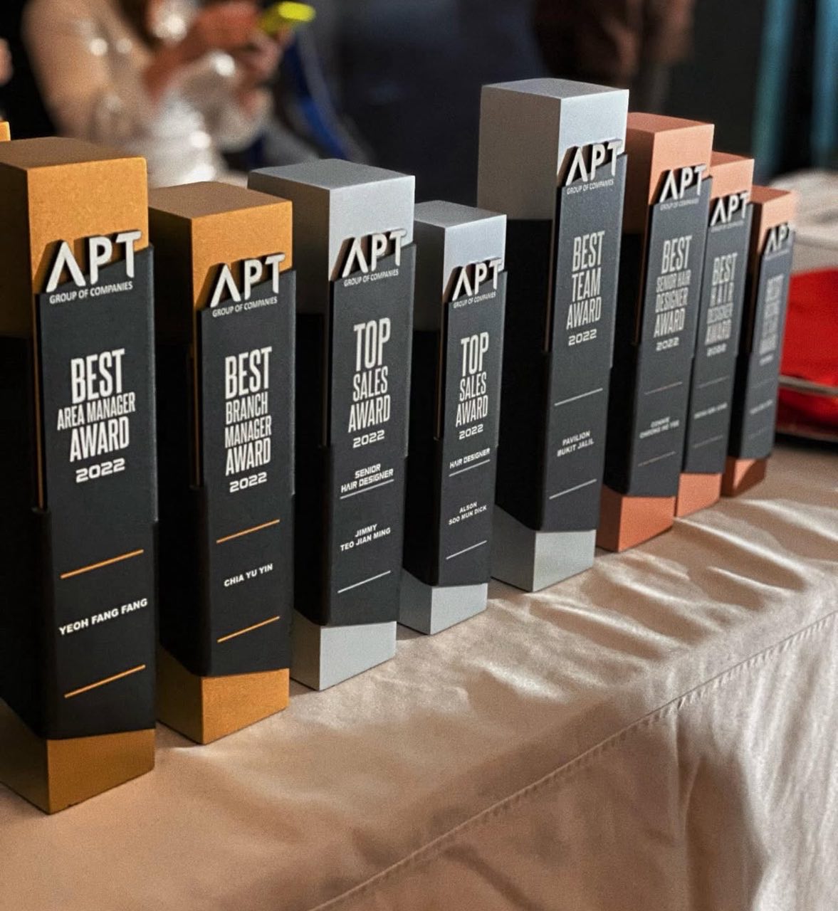 APT Hair Salon awards