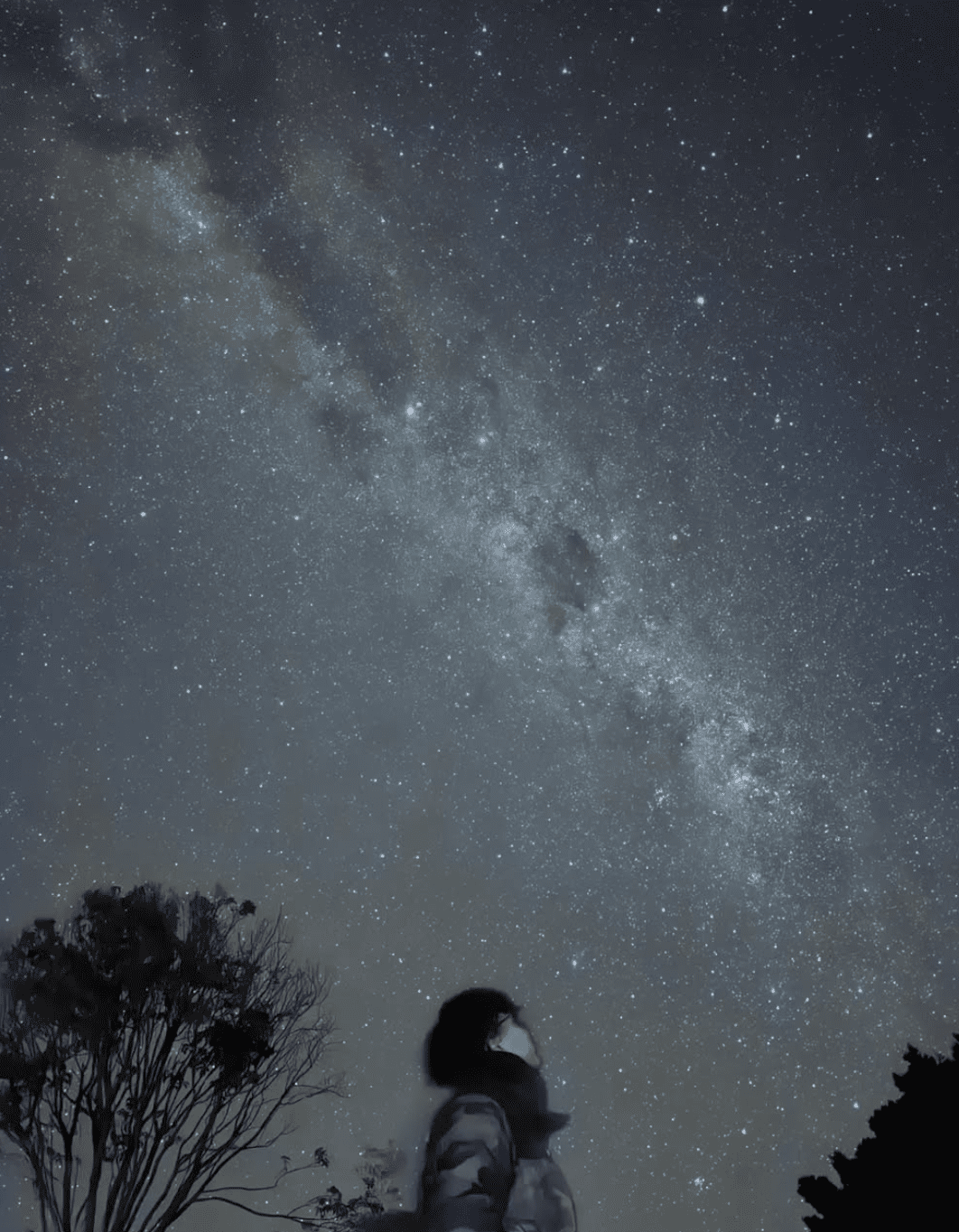 Aurora Borealis in NZ