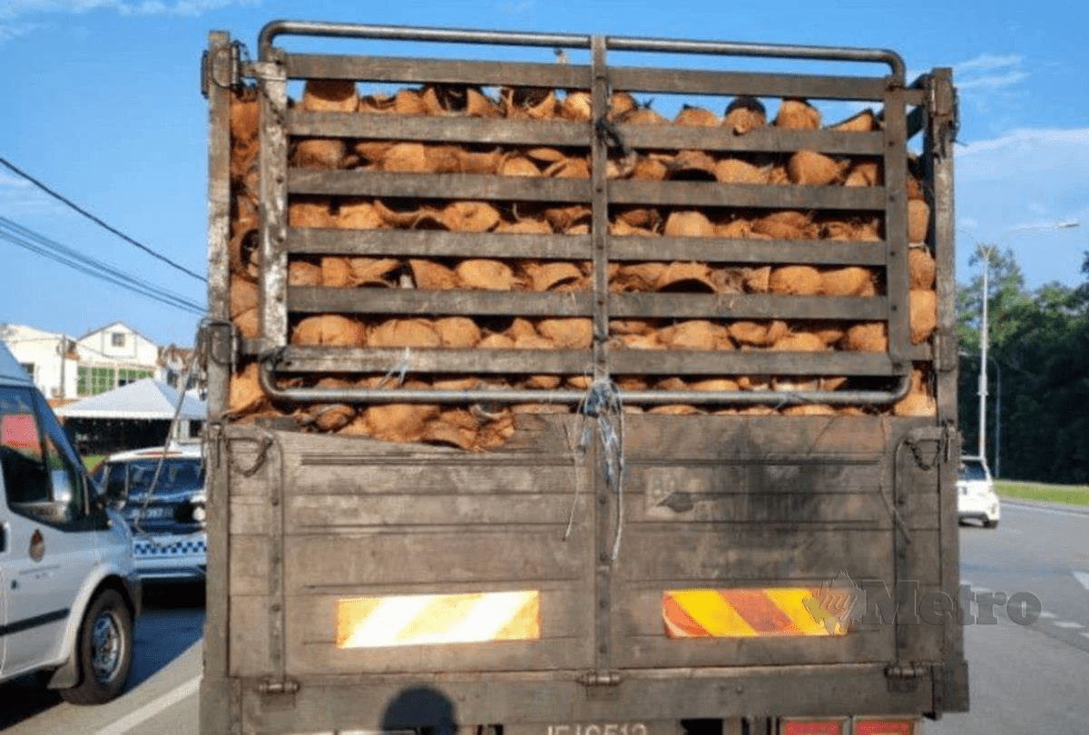 Back view of lorry full of coconut husks