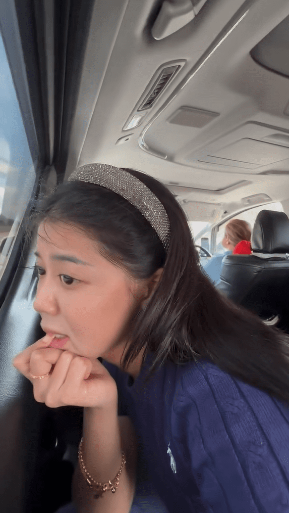 Belle looking on at traffic on highway