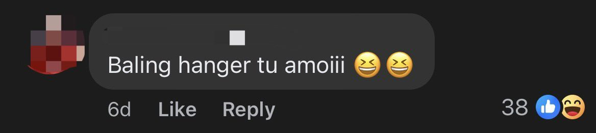 'I Wanna Scold Them!' — M'sian Influencer Winds Down Window & Yells At 'Mat Rempits' Doing 'Superman' Stunt On Highway comment 2