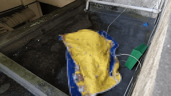 Body that landed on roof at Farlim apartment