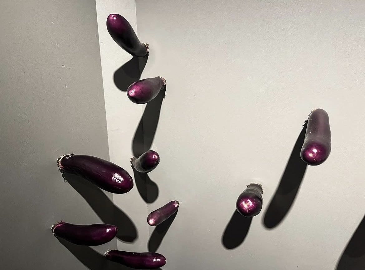 Brinjals on display at NGS