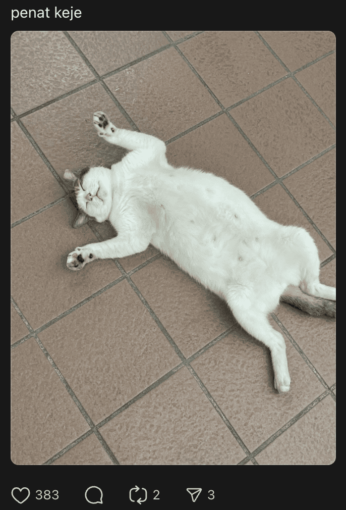 cat at lrt wangsa maju