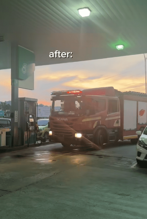 Cat lock itself inside (4)