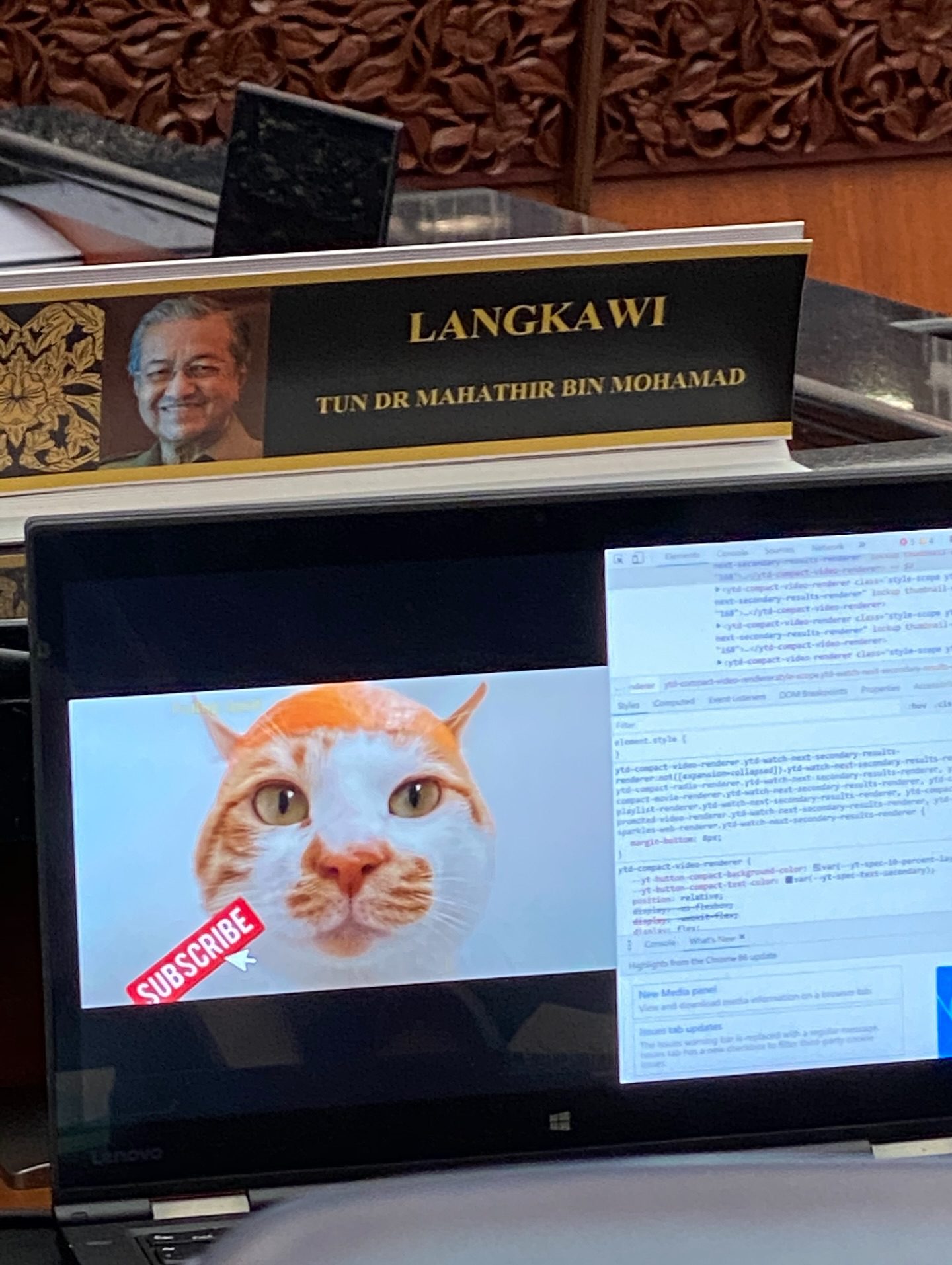 Cat meme in parliament
