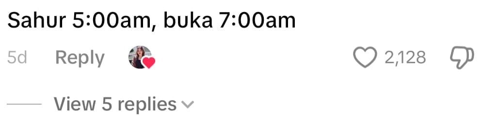 cat wakes up for sahur comment