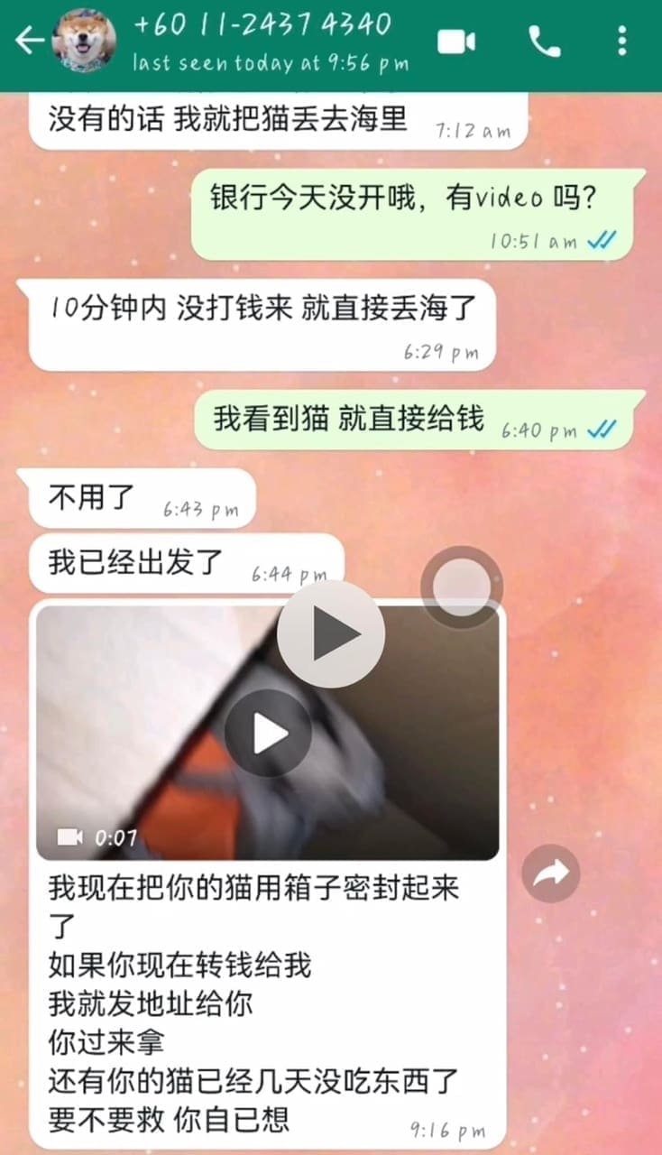 'Catnapper' Demands RM6k Ransom If The Owner Wants Their Cat To Be Safe