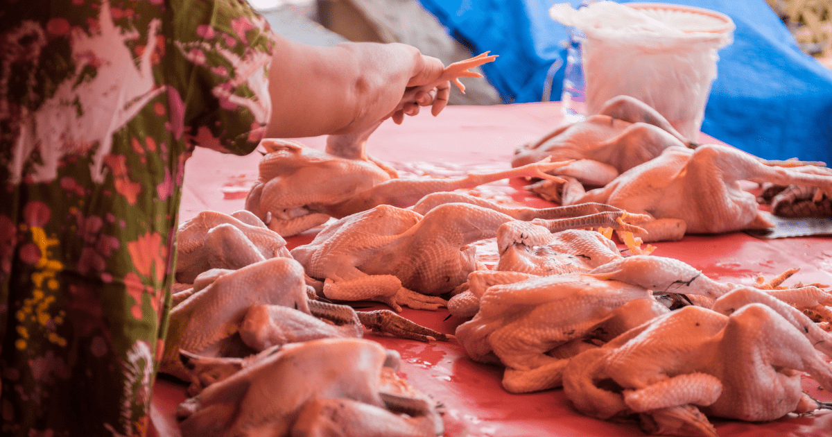 chicken in market
