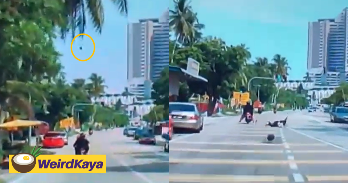 [video] coconut falls from tree and knocks female passenger off motorbike | weirdkaya