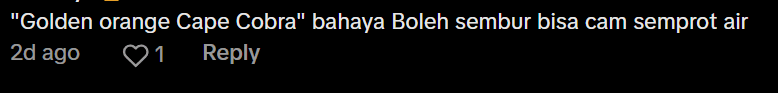 Comment on Bomba catching cobra Screenshot 2025-02-05 134542 (2)