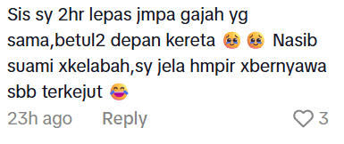 Comment on elephant attack (2)