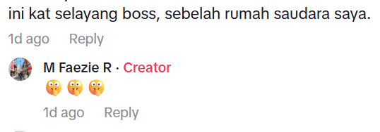 Comment on fish in longkang (3)