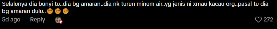 Comment on hiding from tiger during picnic (3)