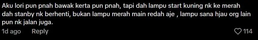 Comment on Lorry running red light (3)