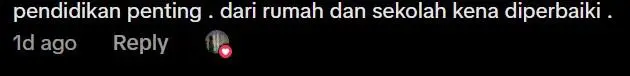 Comment on Malaysia development (1)