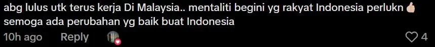 Comment on Malaysia development (3)