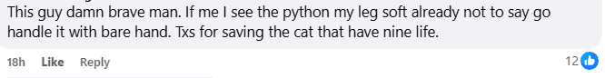 Comment on saving the cat (2)
