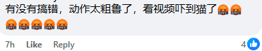 Comment on stealing cat in cage Screenshot 2025-03-14 173001 (3)