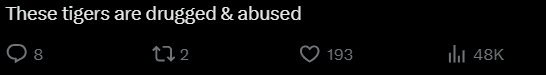 comment on thai tiger attack (3)