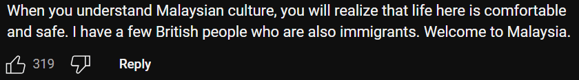 Comment on tourist praise KL transit system Screenshot 2025-01-20 170847 (1)