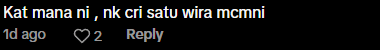 Comment on Wira crossing flood water Screenshot 2024-11-24 163802 (2)