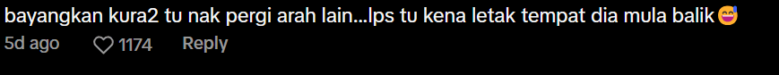 Comment under man helping tortoise (2)