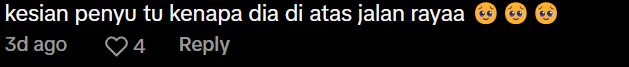 Comment under man helping tortoise (3)