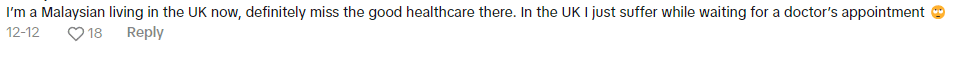 Comment under UK trourist praise Malaysia clinic Screenshot 2024-12-24 155620 (1)