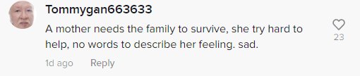 Mother might have done it to feed her family
