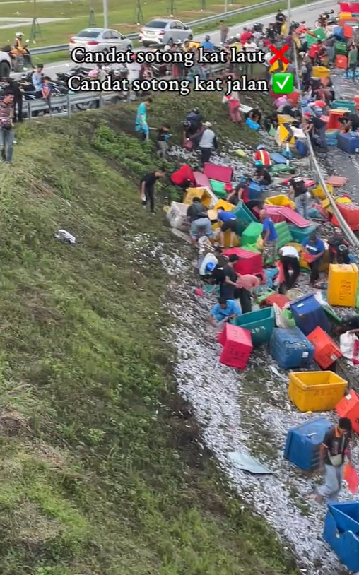 Crowd watches M'sians collecting sotong