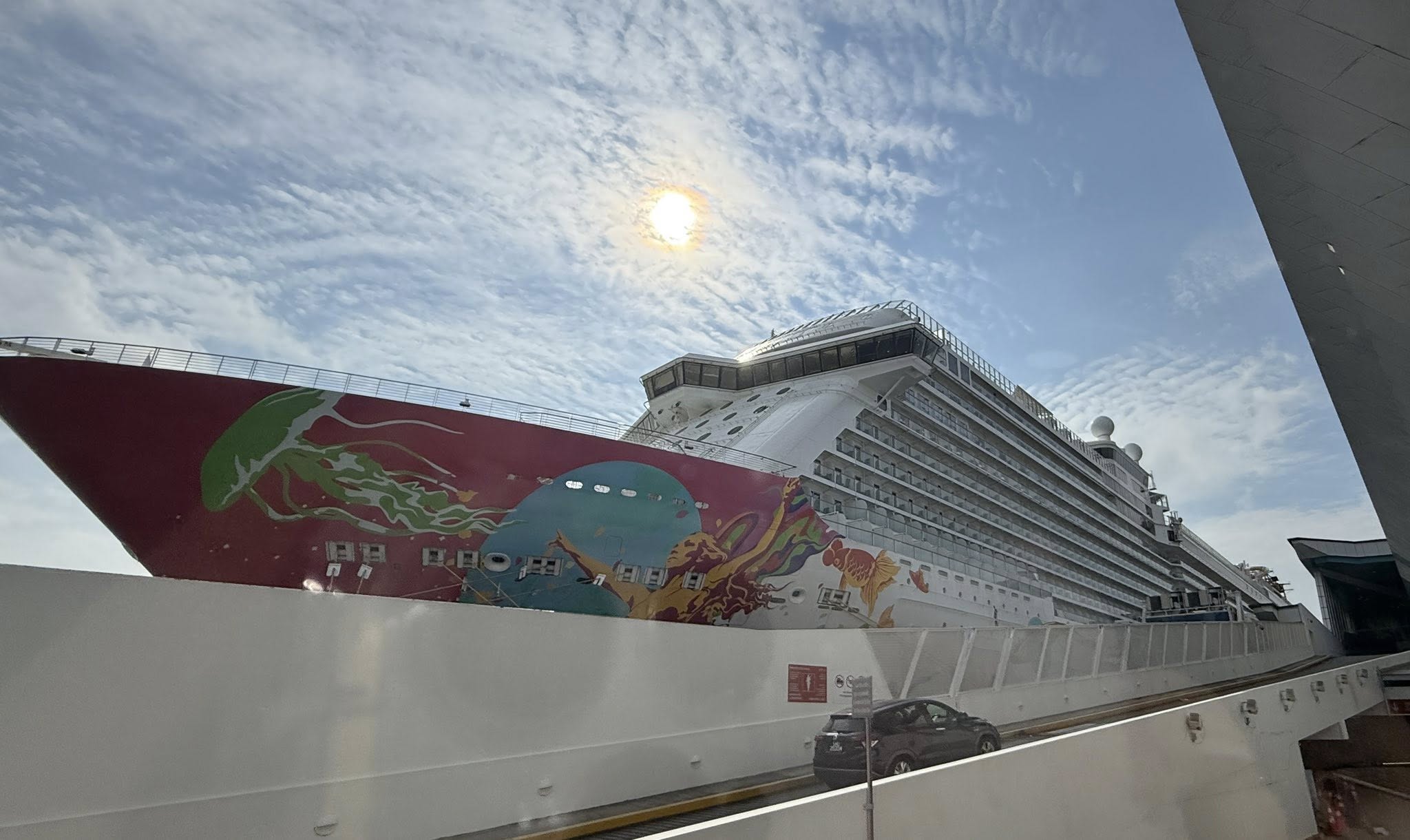 Cruise ship photo taken by Yap Shing Xuen's mother